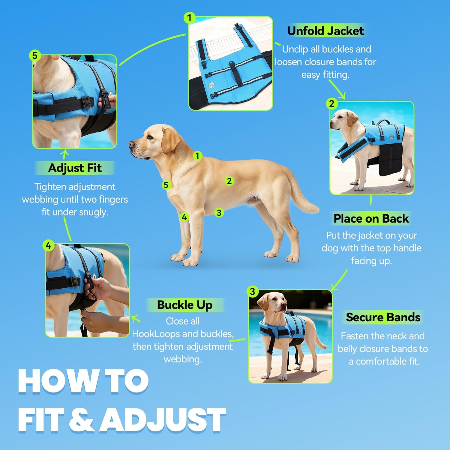 Premium Blue Dog Life Vest for Medium Breeds | High Visibility Ripstop Swim Jacket with Handle & Leash Ring for Safe Boating & Swimming