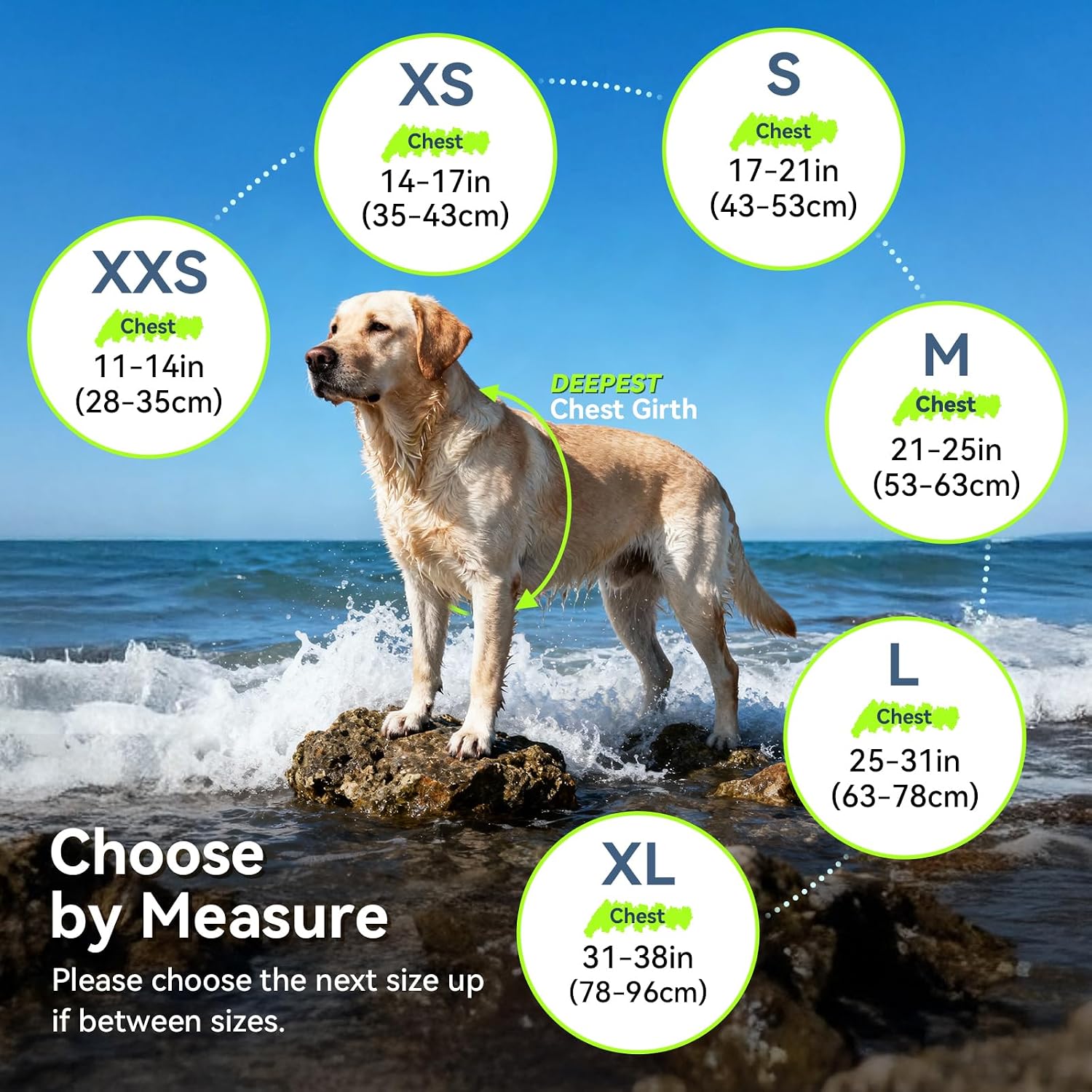Premium Blue Dog Life Vest for Medium Breeds | High Visibility Ripstop Swim Jacket with Handle & Leash Ring for Safe Boating & Swimming