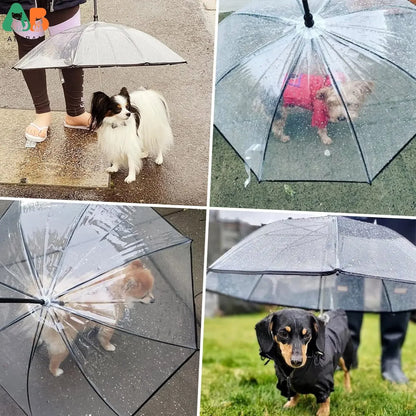 Keep Your Small Pets Dry with Our Stylish Dog Umbrella and Leash Combo - Perfect for Rainy Walks!